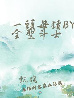 一头母猪BY黄金圣斗士