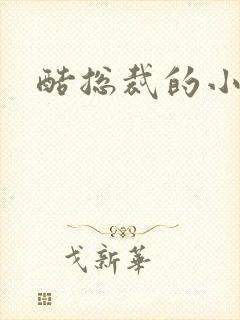 酷总裁的小女佣