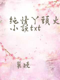 纯情丫头火辣辣小说txt