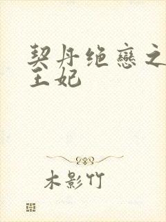 契丹绝恋之代嫁王妃