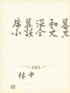 席慕深和慕清泠小说全文免费阅读