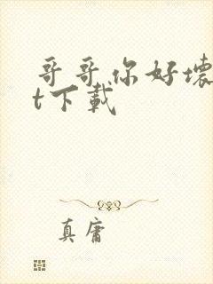 哥哥你好坏txt下载