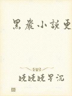 黑岩小说更新吧