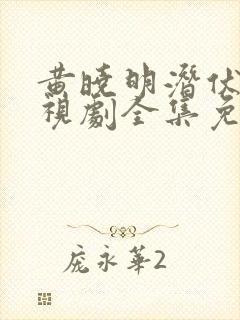 黄晓明潜伏者电视剧全集免费观看