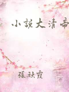 小说大清帝国