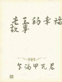 老王的幸福生活故事