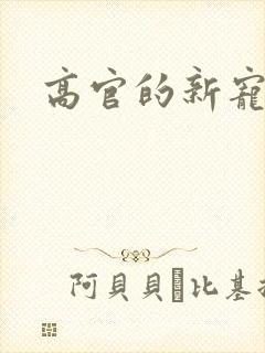 高官的新宠