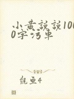 小黄说说1000字污车