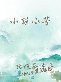 小说小芳