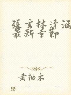 张玄林清涵全文最新章节