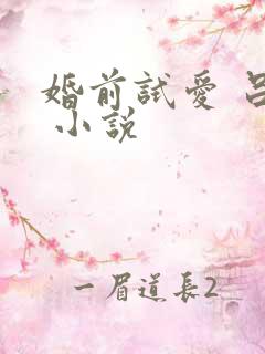 婚前试爱 吕颜 小说