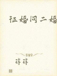 征婚网二婚