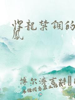 悍龙禁锢的小野凤