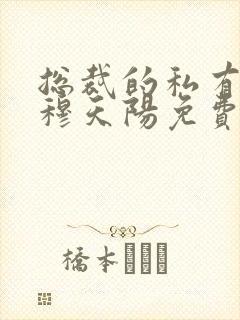 总裁的私有宝贝穆天阳免费