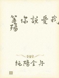 等你说爱我之云殇