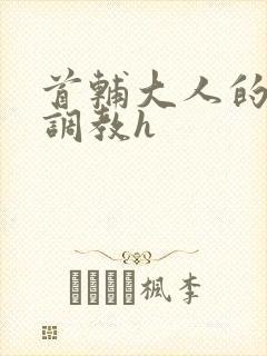 首辅大人的花式调教h