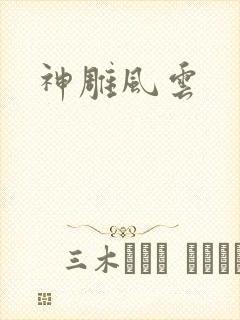 神雕风云