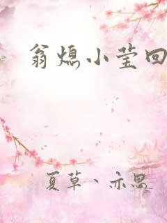 翁熄小莹回乡下