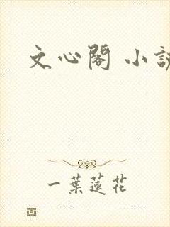 文心阁 小说