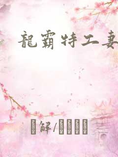 龙霸特工妻