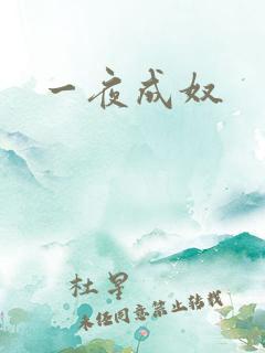 一夜成奴