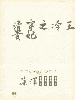 清穿之冷王的皇贵妃