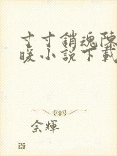 寸寸销魂陈聪王暖小说下载