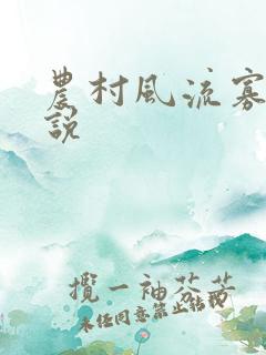农村风流寡妇小说