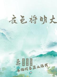 夜色将明大结局