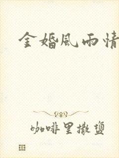 金婚风雨情下载