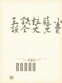 王铁柱苏小汐小说全文免费阅读最新章节