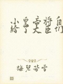 小皇帝将自己赏给了大臣们