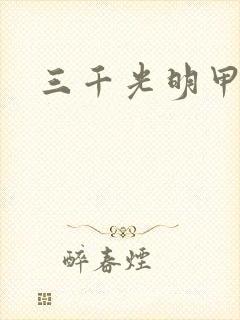 三千光明甲