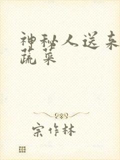 神秘人送来千斤蔬菜