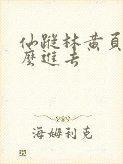 仙踪林黄页网怎么进去