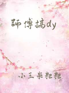 师傅搞dy