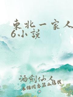 东北一家人1一6小说