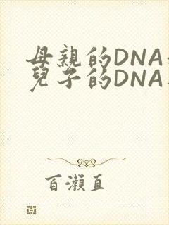 母亲的DNA和儿子的DNA是一样的吗