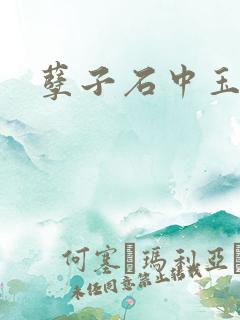 孽子石中玉