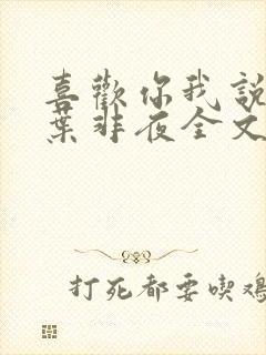 喜欢你我说了算叶非夜全文免费阅读