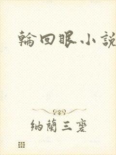 轮回眼小说