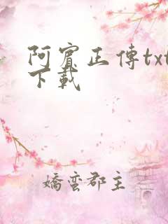 阿宾正传txt下载