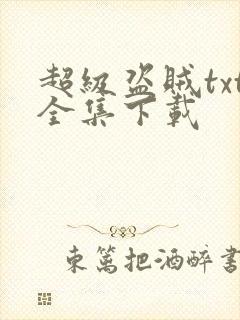 超级盗贼txt全集下载