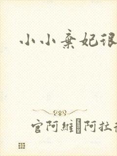 小小弃妃很倾城