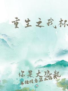 重生之我杯具了