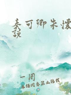 秦可卿朱怀镜小说