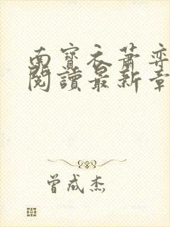 南宝衣萧弈免费阅读最新章节