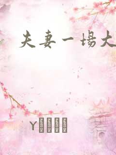 夫妻一场大结局