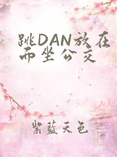 跳DAN放在里面坐公交