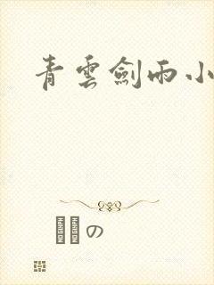 青云剑雨小说